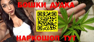 МДПВ Краснознаменск