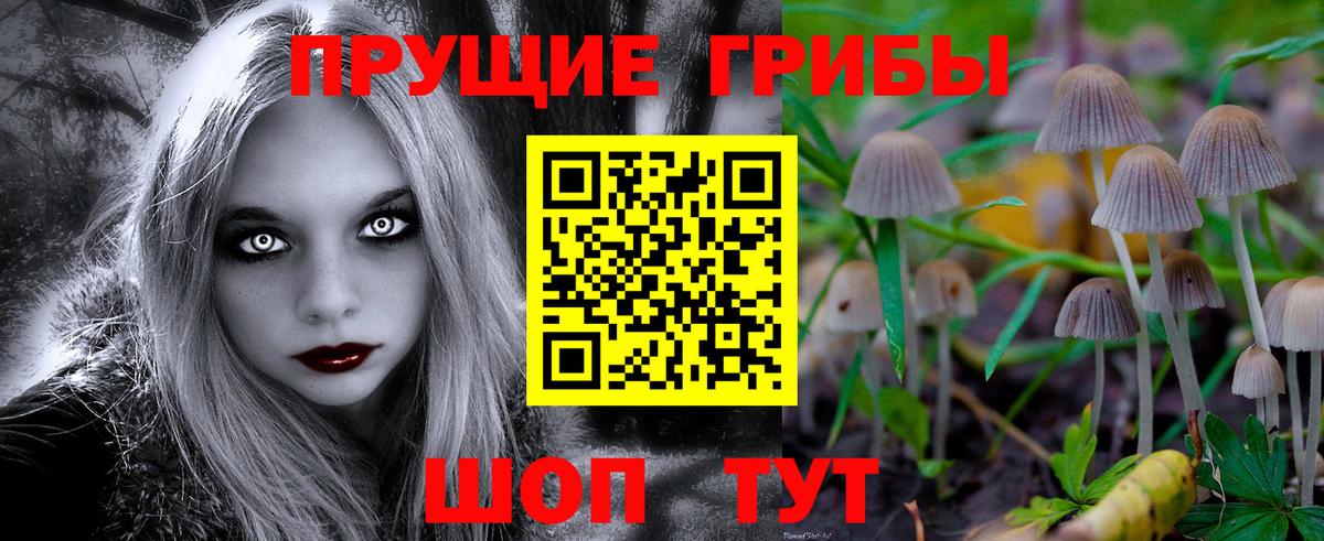 Псилоцибиновые грибы мицелий  Вход с VPN  Сальск  Галлюциногенные грибы мицелий 