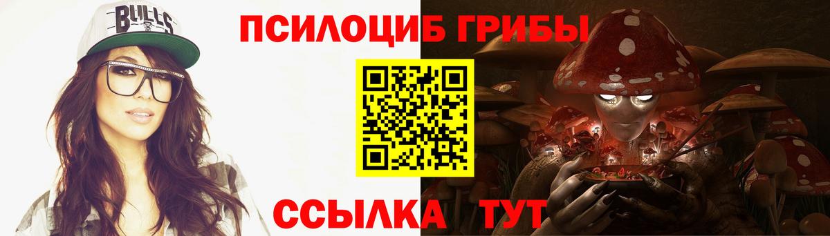 Псилоцибиновые грибы Psilocybe Сальск
